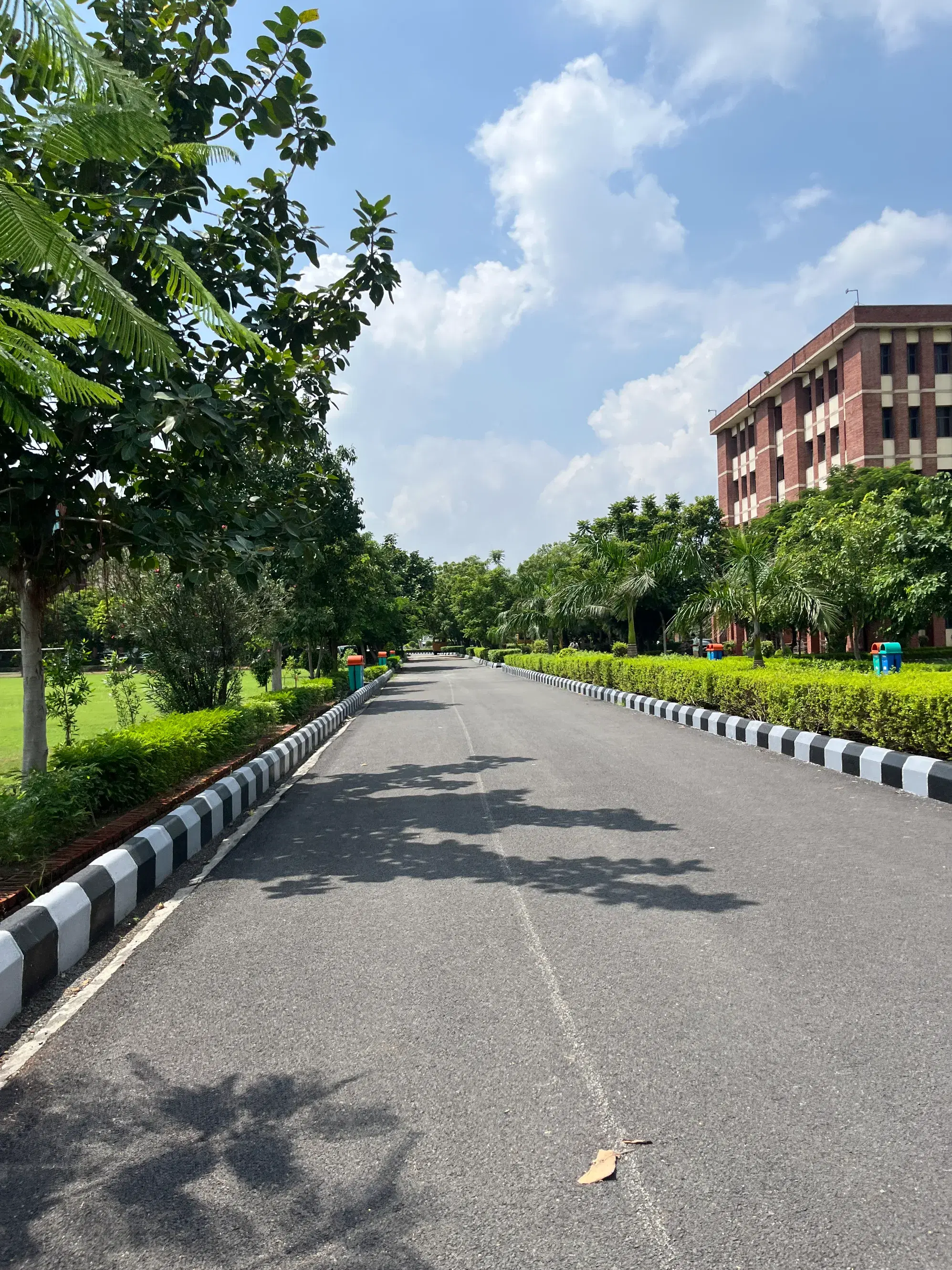 Amity University Greater Noida Campus photo 3
